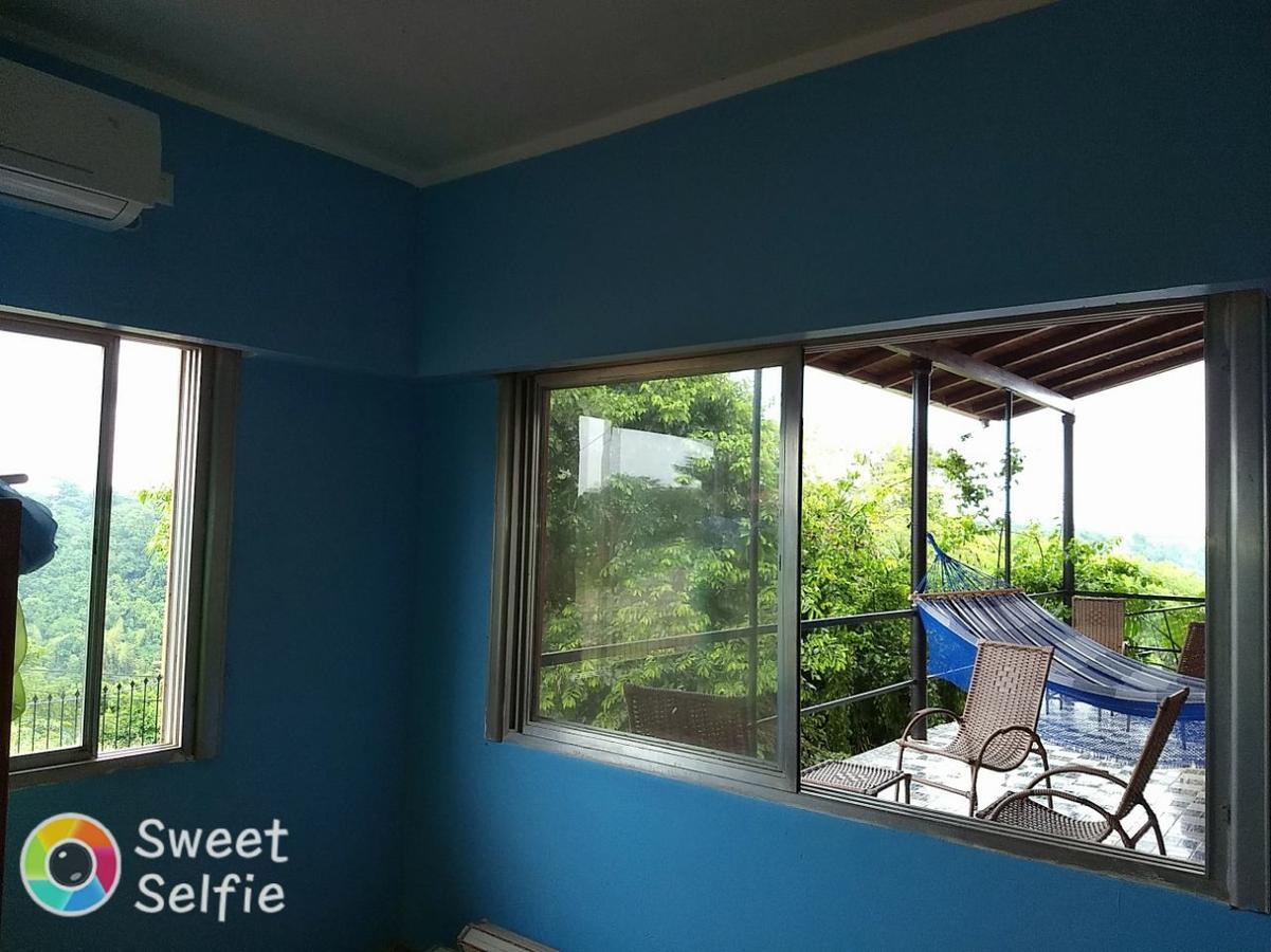 Butterfly Hostel Puerto Iguazu Exterior photo