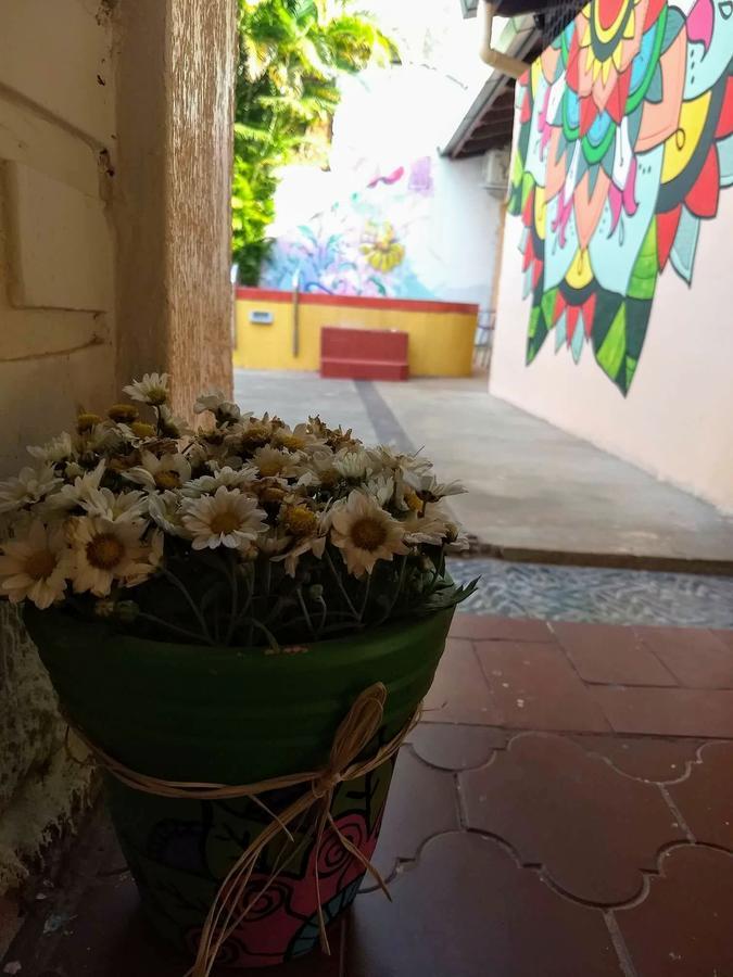 Butterfly Hostel Puerto Iguazu Exterior photo
